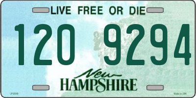 NH license plate 1209294
