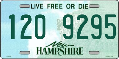 NH license plate 1209295