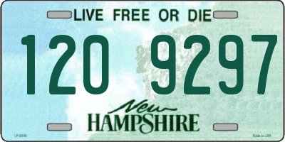 NH license plate 1209297