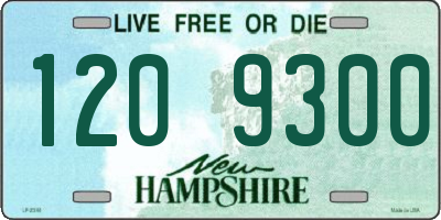 NH license plate 1209300