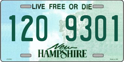 NH license plate 1209301