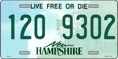 NH license plate 1209302