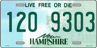 NH license plate 1209303