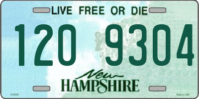 NH license plate 1209304