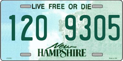 NH license plate 1209305