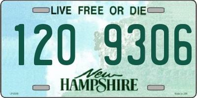 NH license plate 1209306