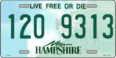 NH license plate 1209313