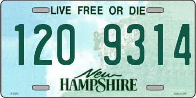 NH license plate 1209314