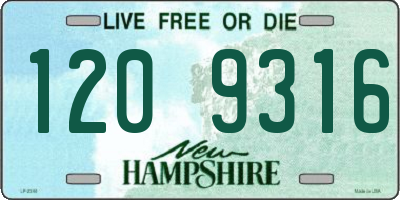 NH license plate 1209316