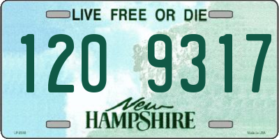 NH license plate 1209317