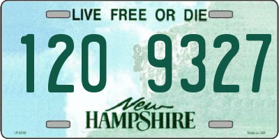 NH license plate 1209327