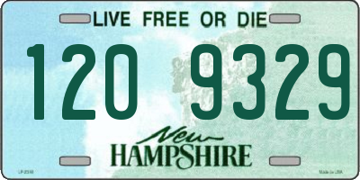 NH license plate 1209329