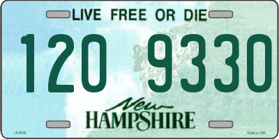 NH license plate 1209330
