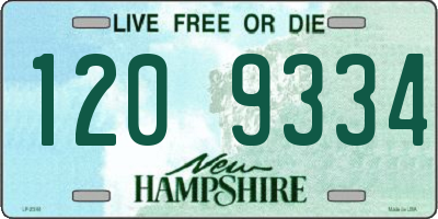 NH license plate 1209334