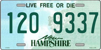 NH license plate 1209337