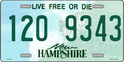 NH license plate 1209343