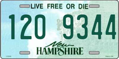 NH license plate 1209344