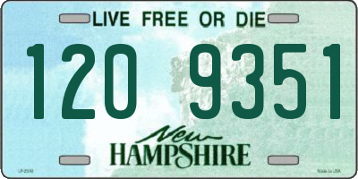 NH license plate 1209351
