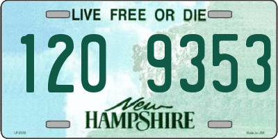 NH license plate 1209353