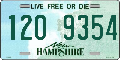 NH license plate 1209354
