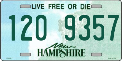 NH license plate 1209357