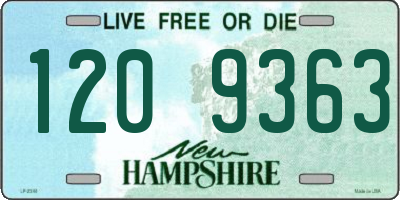 NH license plate 1209363