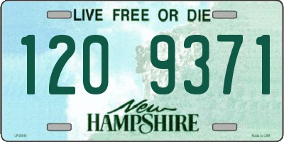 NH license plate 1209371