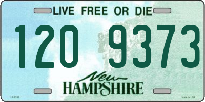 NH license plate 1209373