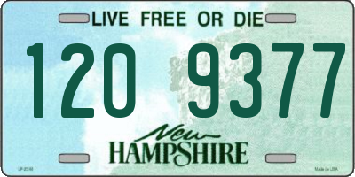 NH license plate 1209377