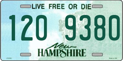 NH license plate 1209380