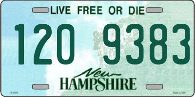 NH license plate 1209383