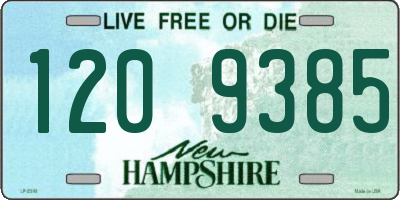 NH license plate 1209385