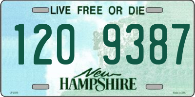 NH license plate 1209387