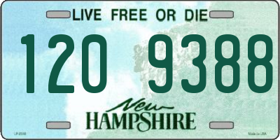 NH license plate 1209388