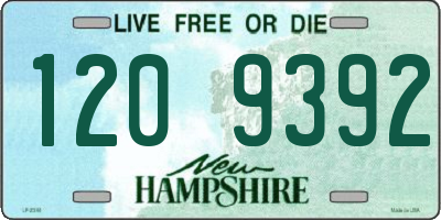 NH license plate 1209392