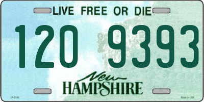 NH license plate 1209393