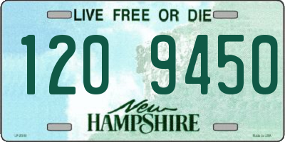 NH license plate 1209450
