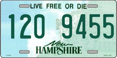 NH license plate 1209455