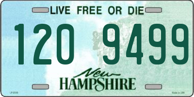 NH license plate 1209499