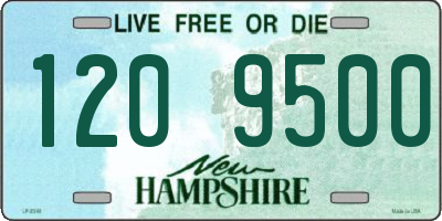 NH license plate 1209500