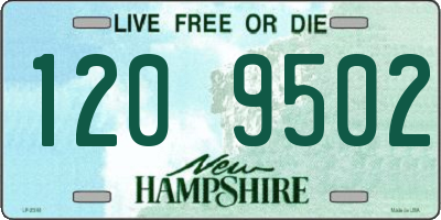 NH license plate 1209502