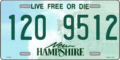 NH license plate 1209512