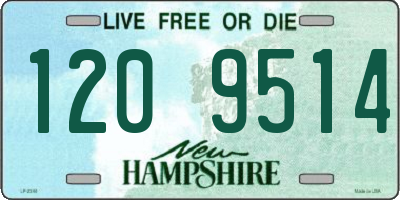 NH license plate 1209514