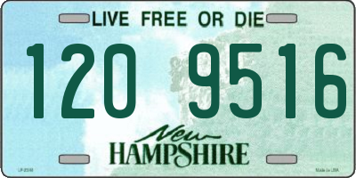 NH license plate 1209516