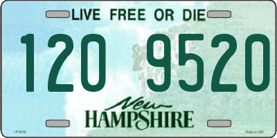 NH license plate 1209520