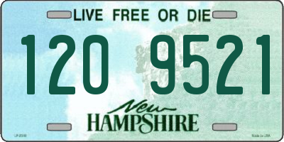 NH license plate 1209521