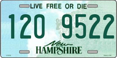 NH license plate 1209522