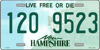 NH license plate 1209523