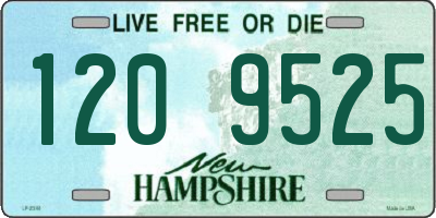 NH license plate 1209525