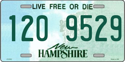 NH license plate 1209529